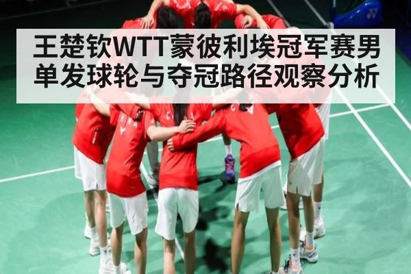 王楚钦WTT蒙彼利埃冠军赛男单发球轮与夺冠路径观察分析
